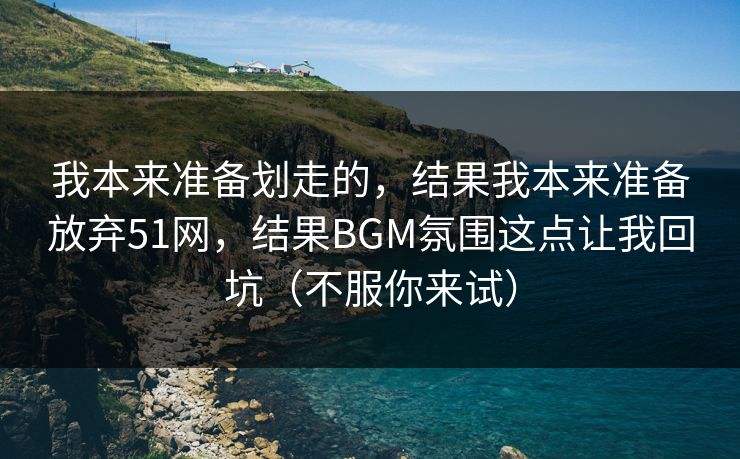 我本来准备划走的，结果我本来准备放弃51网，结果BGM氛围这点让我回坑（不服你来试）