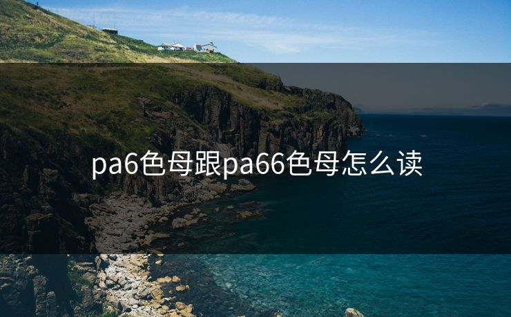 pa6色母跟pa66色母怎么读 pa6色母跟pa66色母怎么读