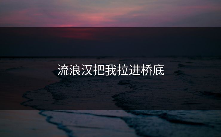 流浪汉把我拉进桥底