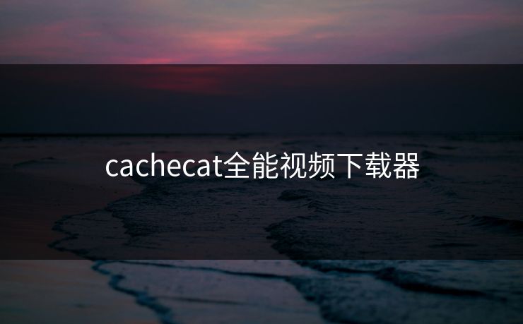 cachecat全能视频下载器 cachecat全能视频下载器