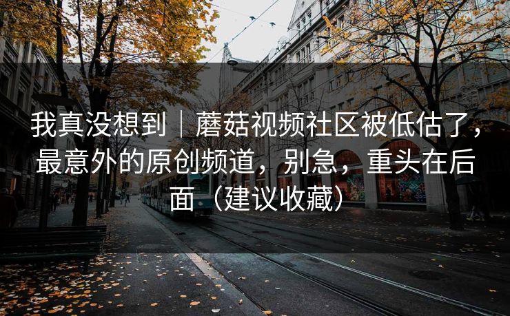 我真没想到|蘑菇视频社区被低估了,最意外的原创频道,别急,重头在后面(建议收藏) 我真没想到|蘑菇视频社区被低估了,最意外的原创频道,别急,重头在后面(建议收藏)